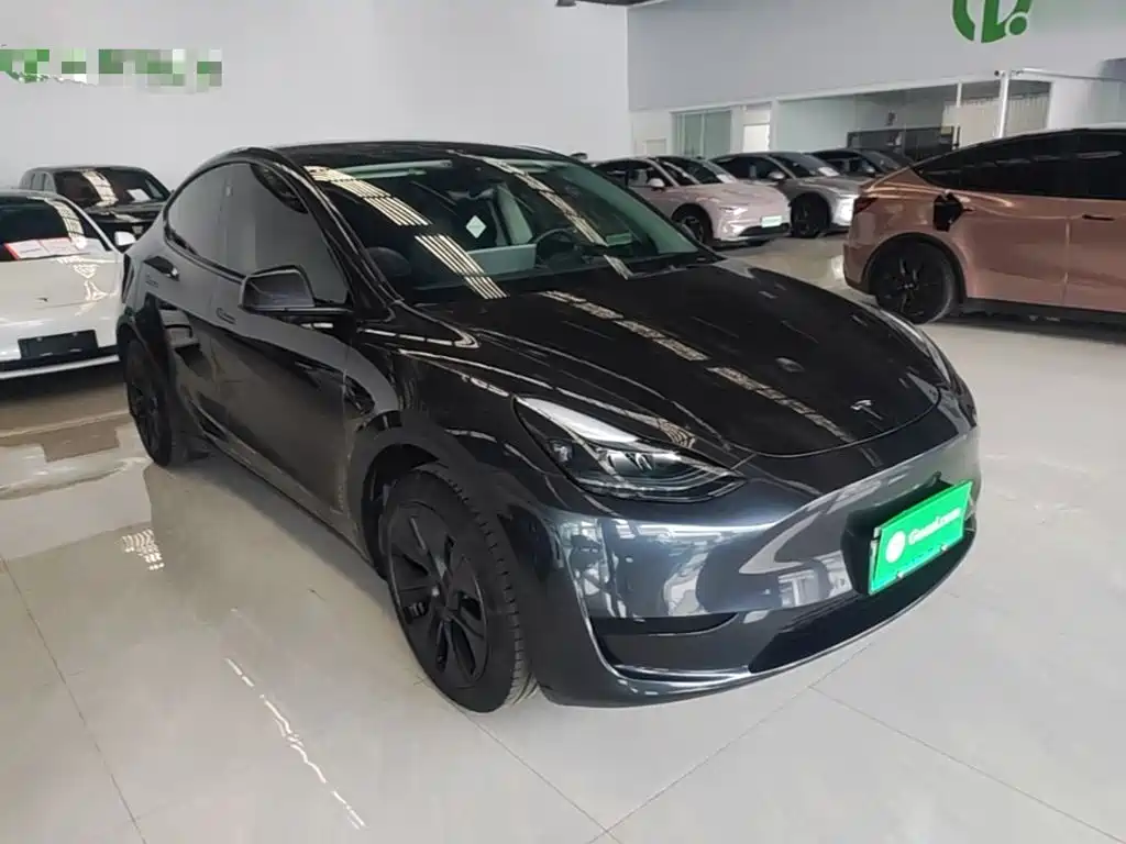 Tesla Model Y — фото 4