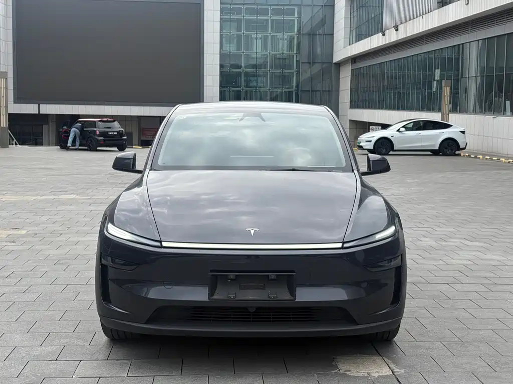 Tesla Model Y — фото 2