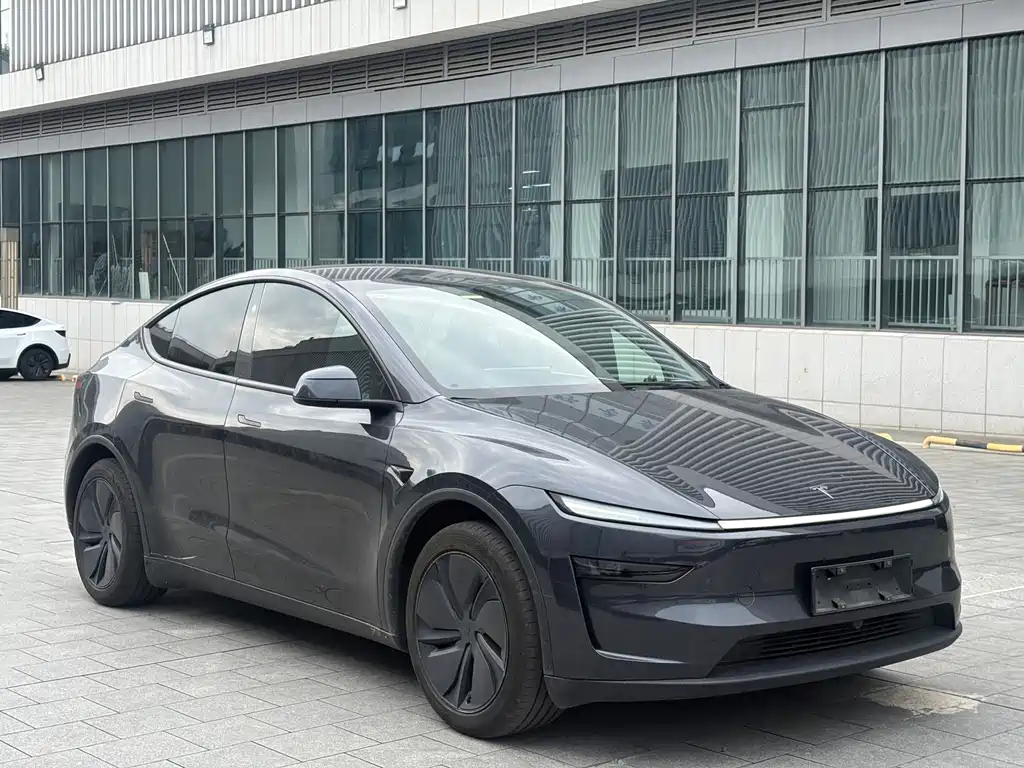Tesla Model Y — фото 3