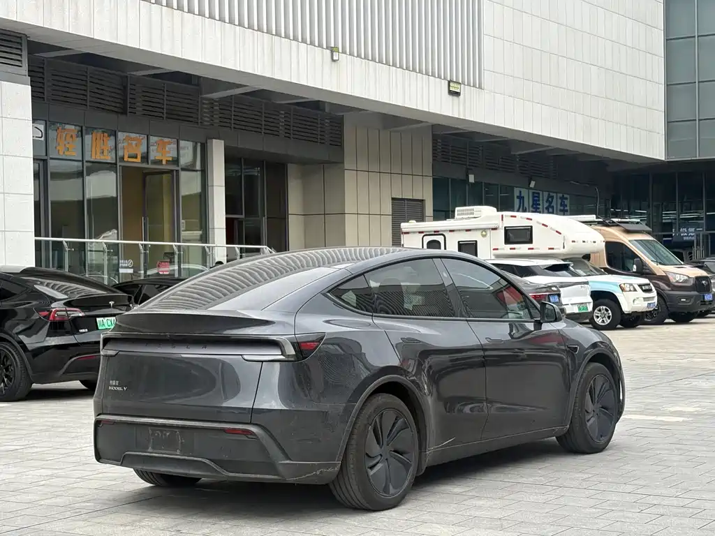 Tesla Model Y — фото 9