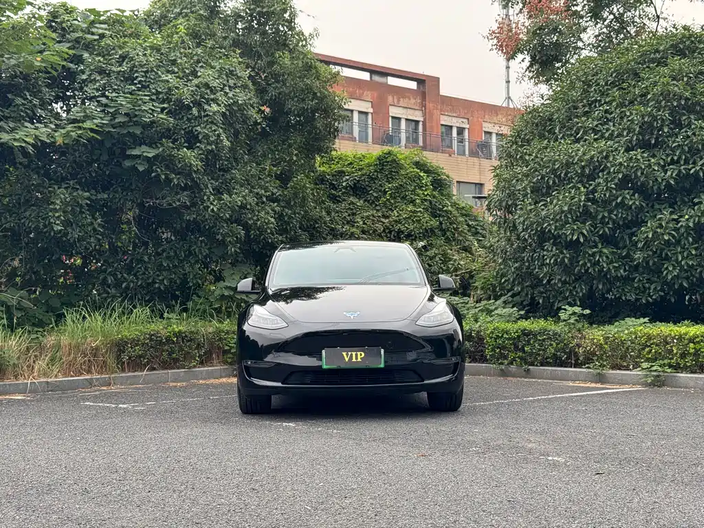 Tesla Model Y — фото 2