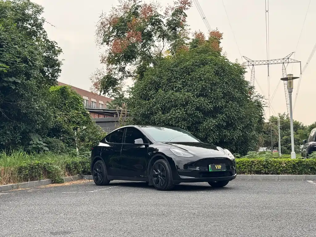 Tesla Model Y — фото 3