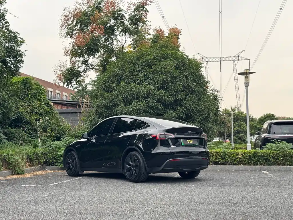 Tesla Model Y — фото 5