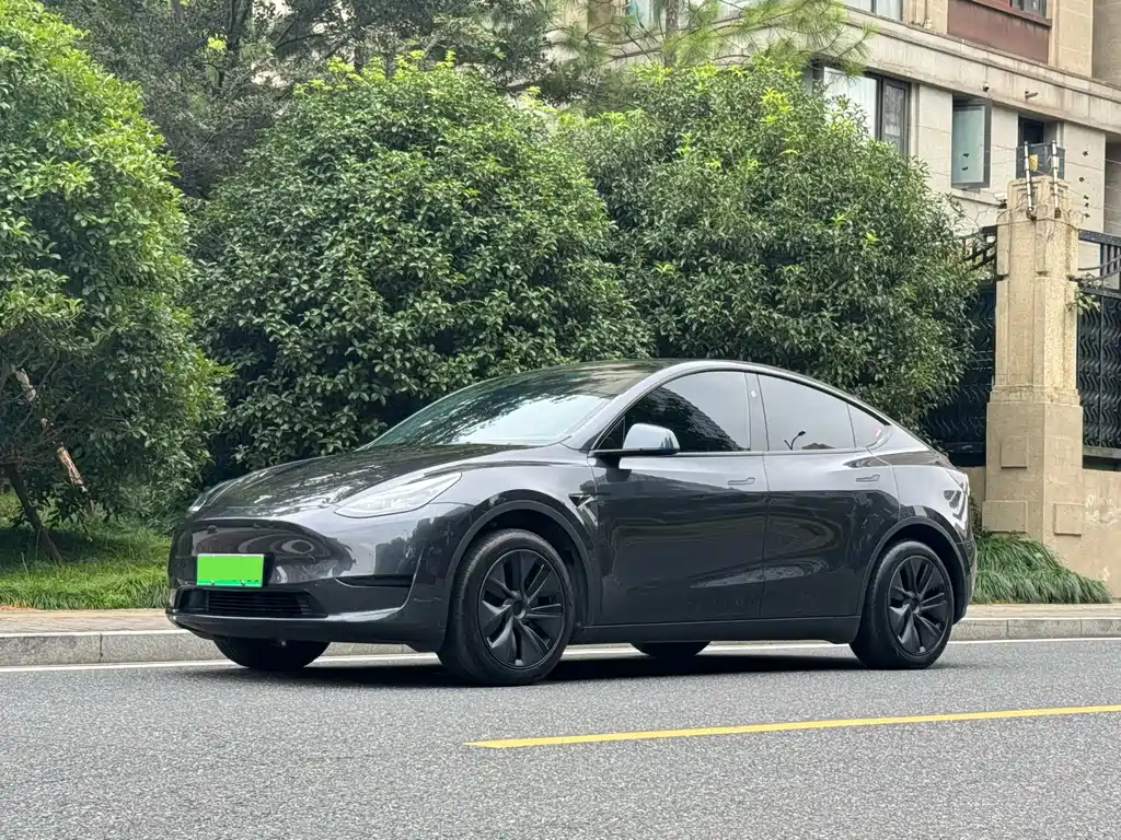 Tesla Model Y — фото 2