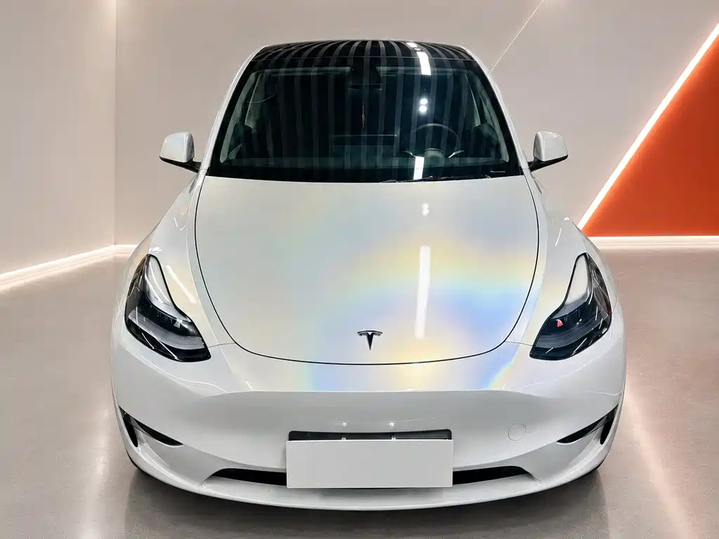 Tesla Model Y — фото 2
