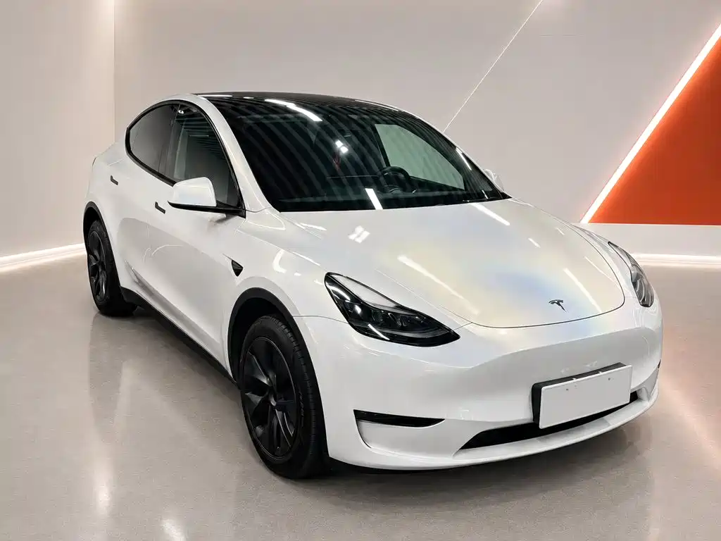 Tesla Model Y — фото 3