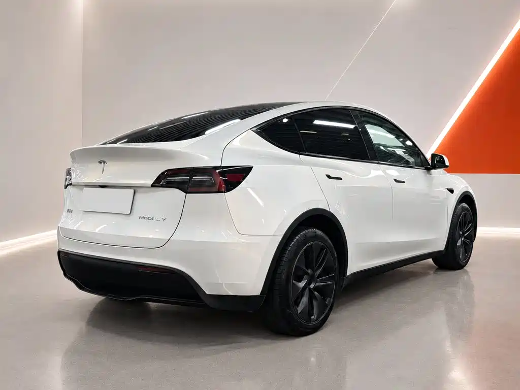 Tesla Model Y — фото 6