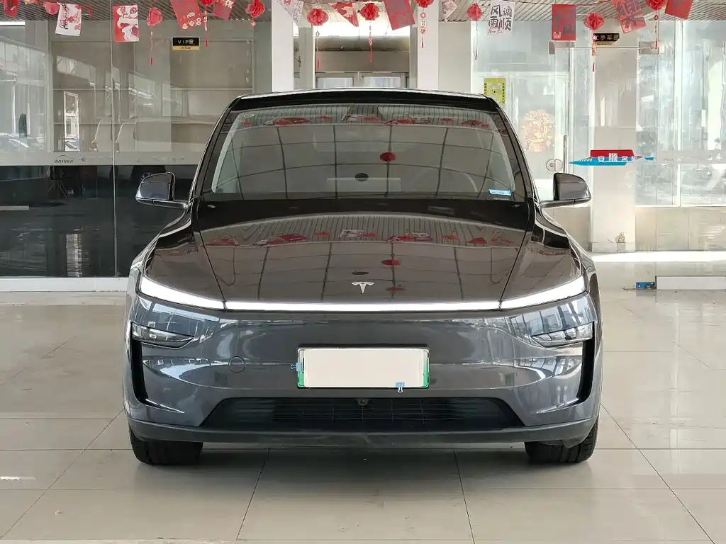 Tesla Model Y — фото 2