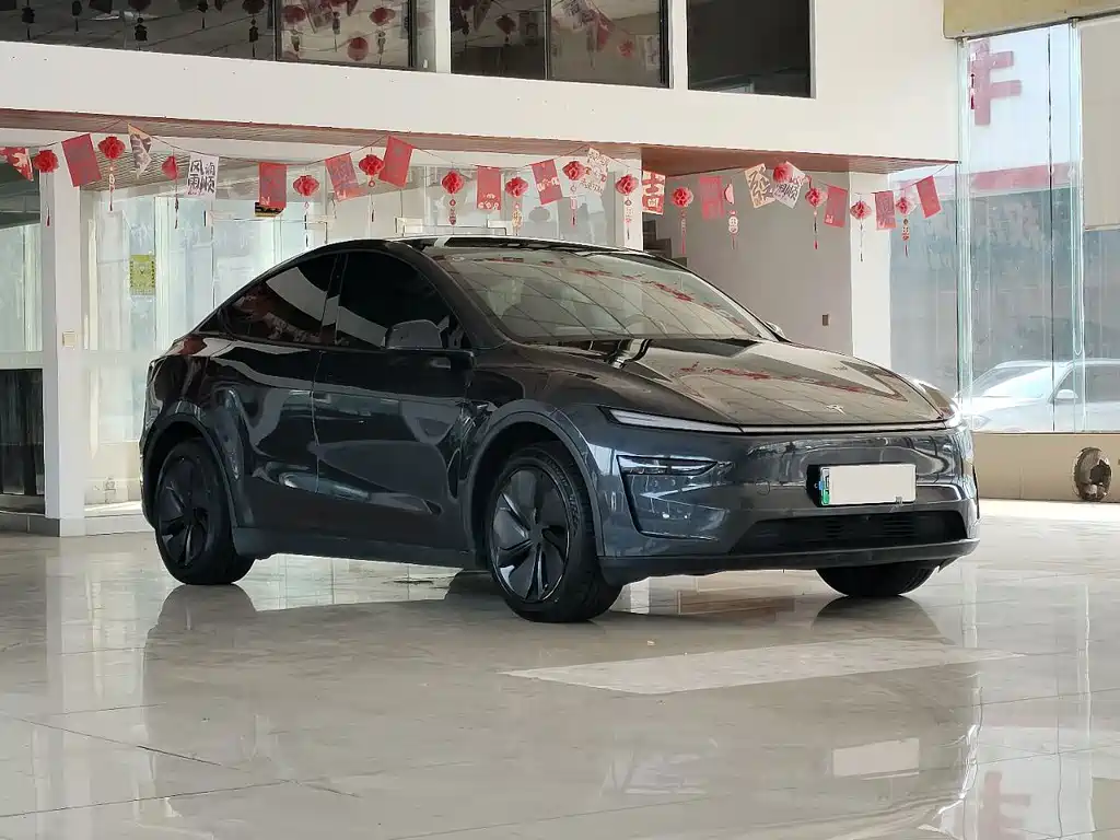 Tesla Model Y — фото 3
