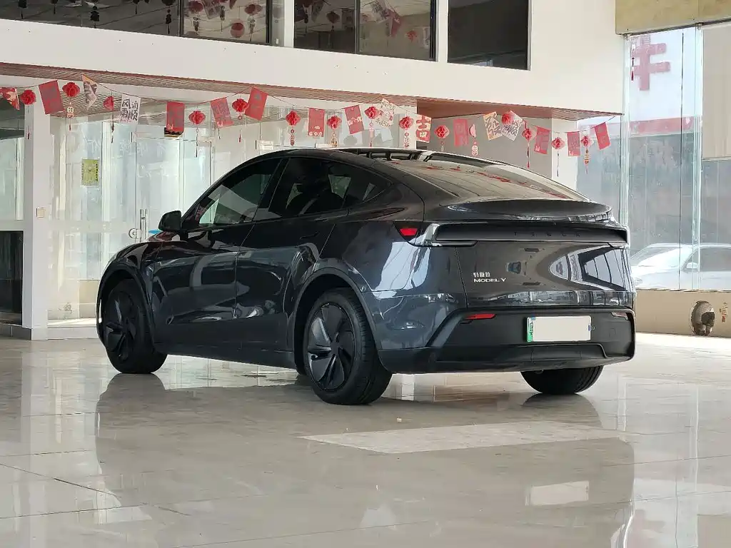 Tesla Model Y — фото 6