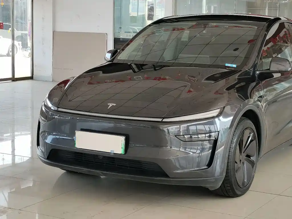 Tesla Model Y — фото 7