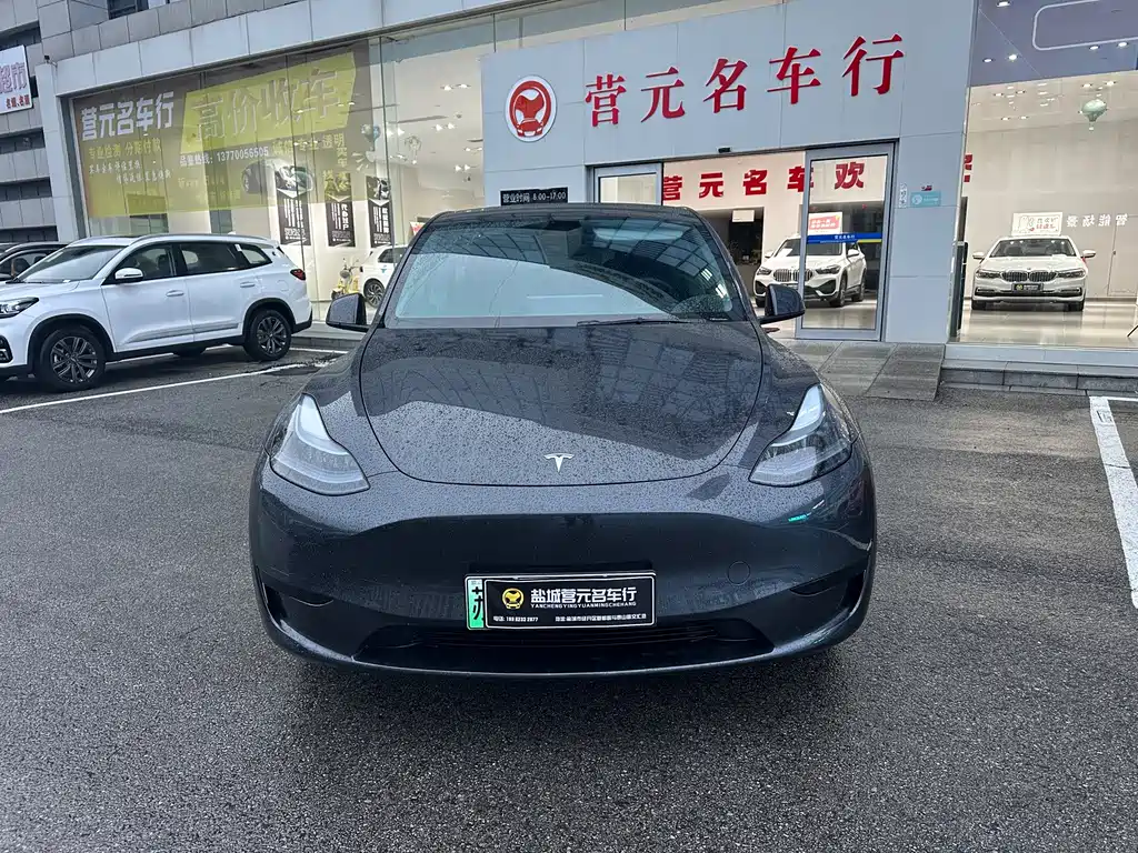 Tesla Model Y — фото 2