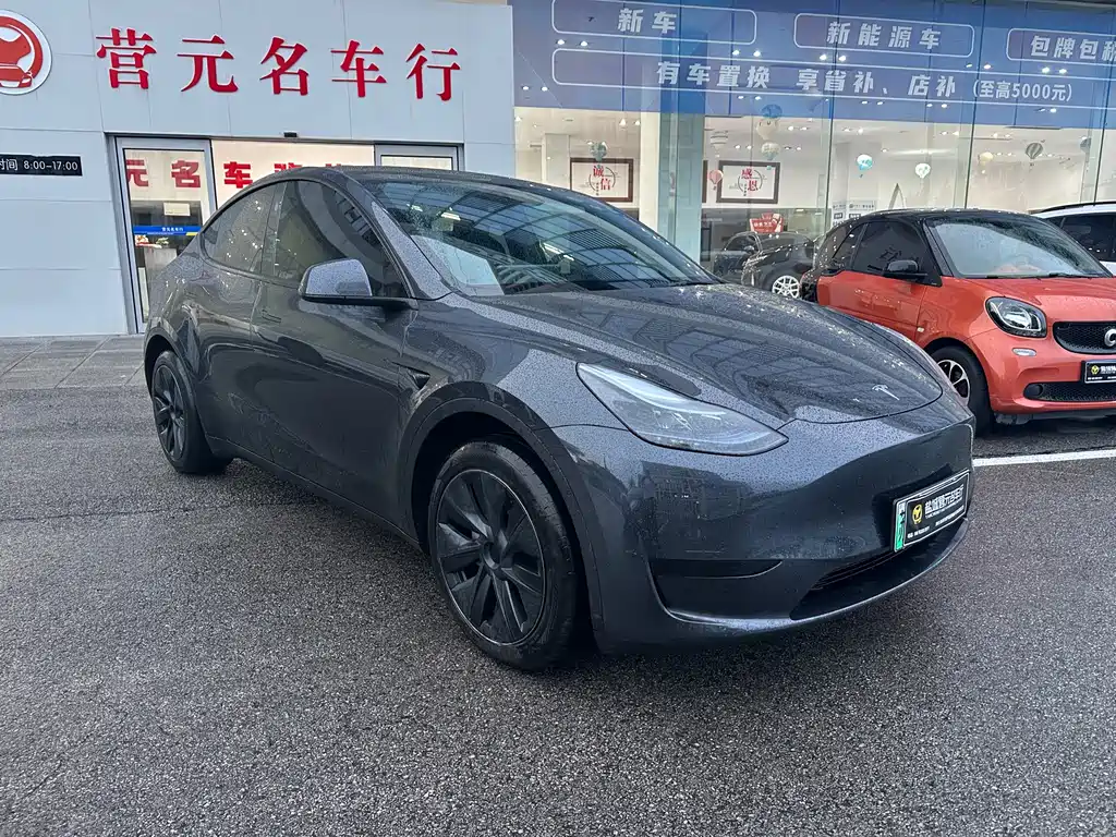 Tesla Model Y — фото 3