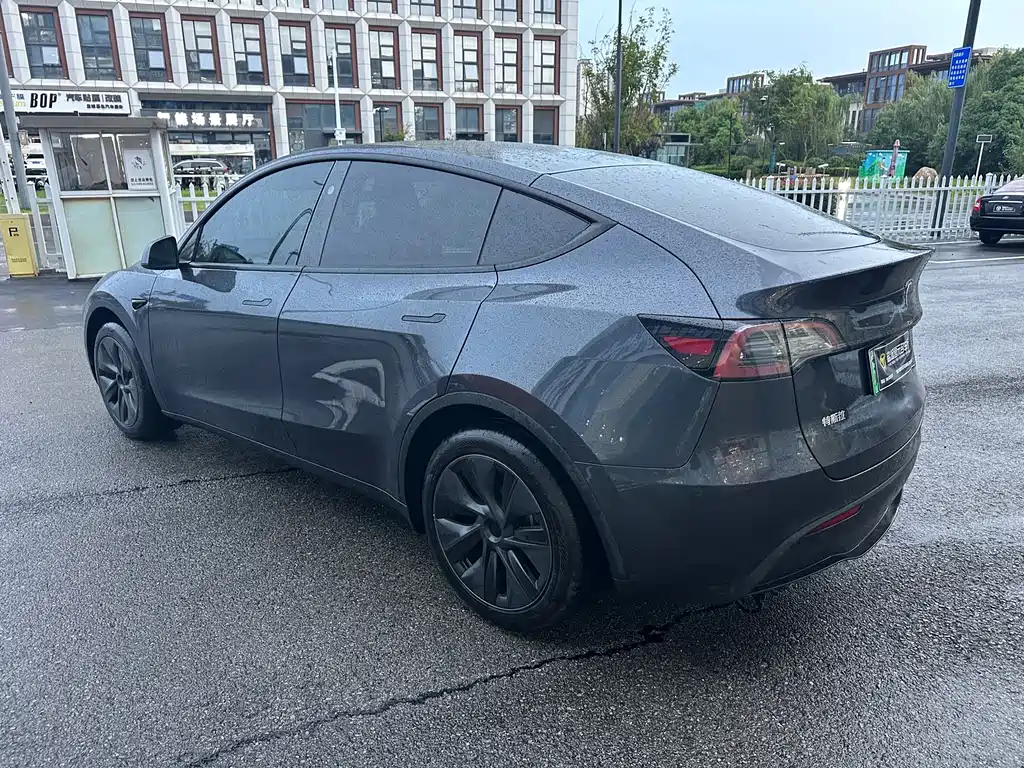 Tesla Model Y — фото 10