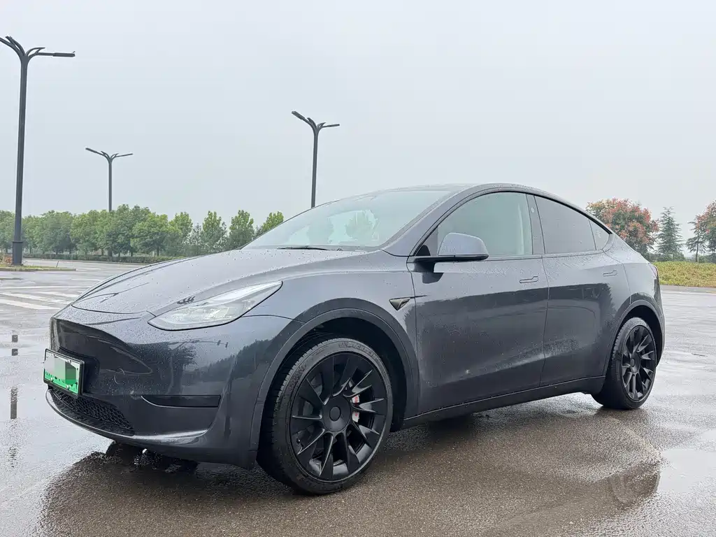 Tesla Model Y — фото 2