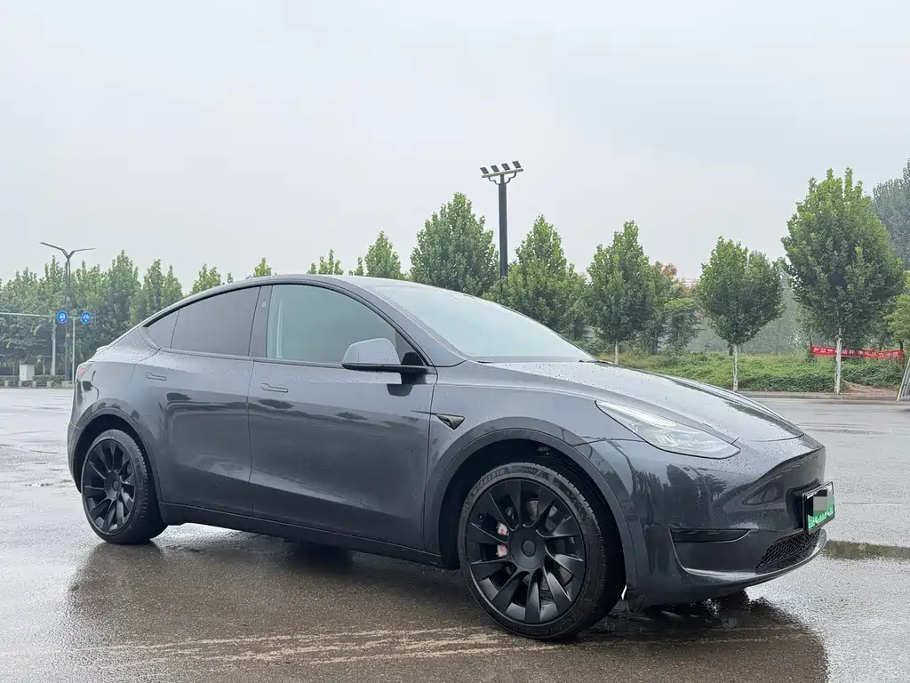 Tesla Model Y — фото 3
