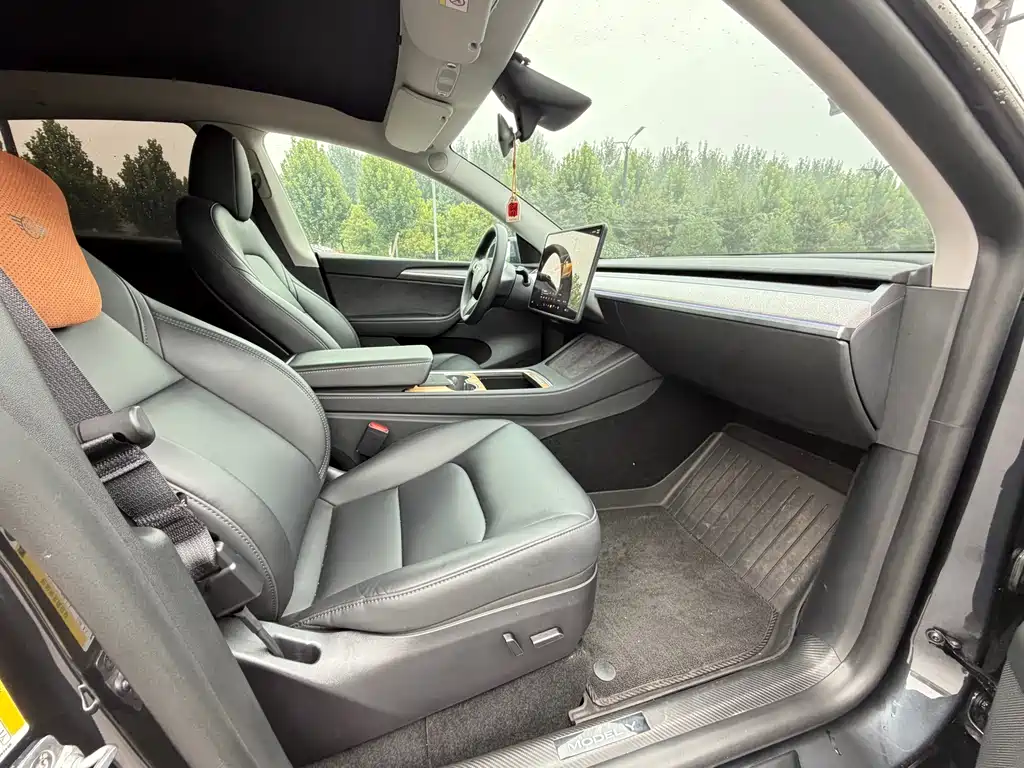 Tesla Model Y — фото 6