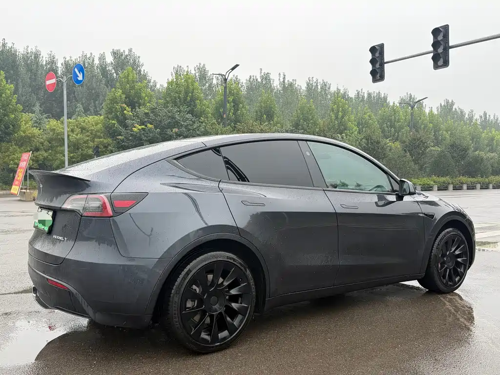 Tesla Model Y — фото 8