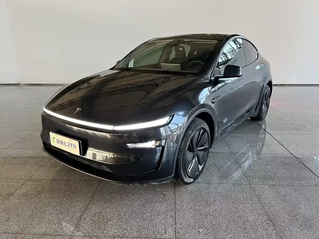 Tesla Model Y — фото 18