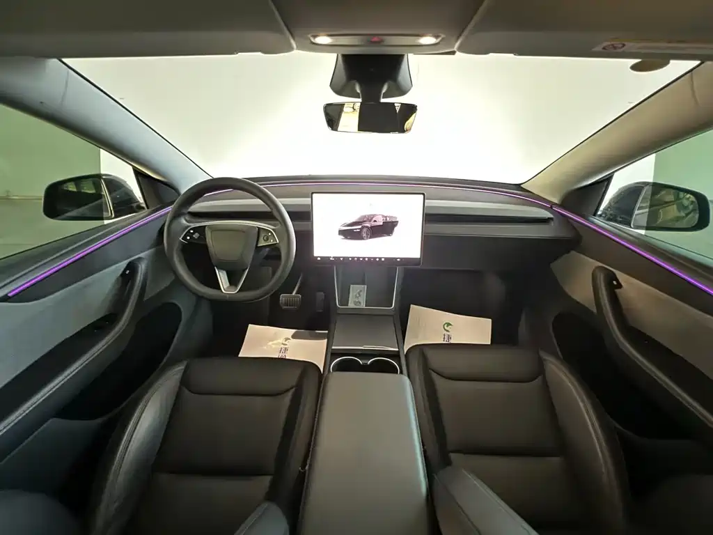 Tesla Model Y — фото 21