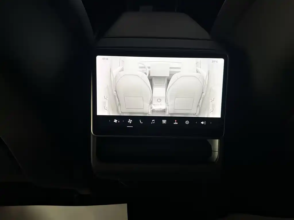 Tesla Model Y — фото 31