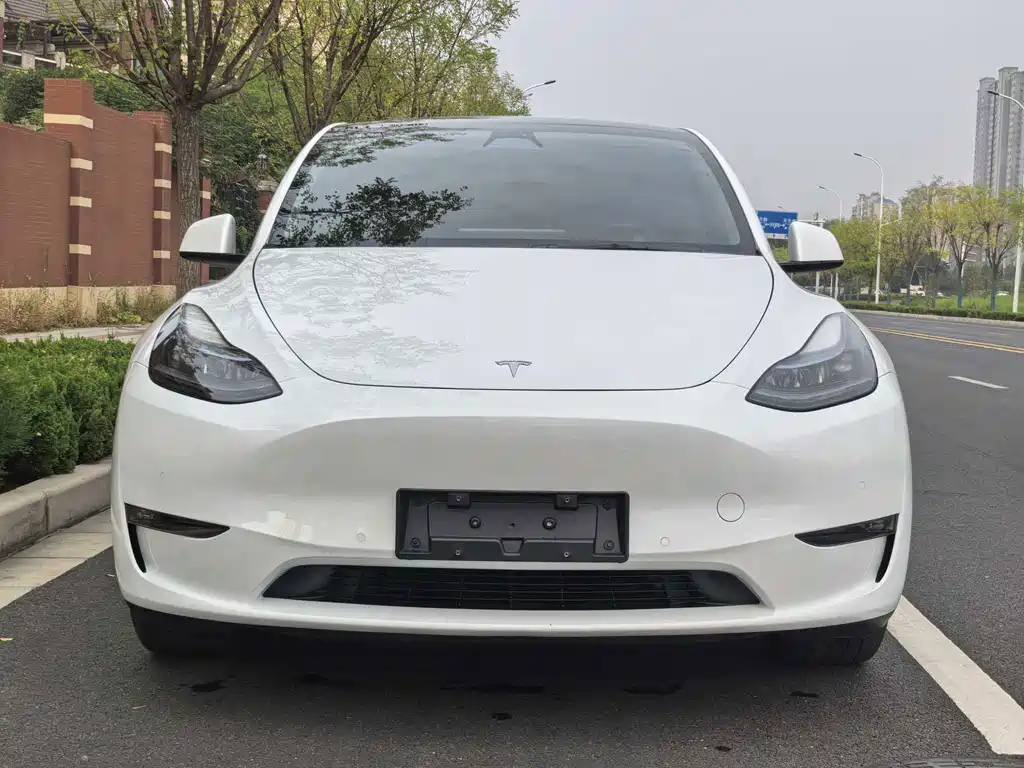 Tesla Model Y — фото 2