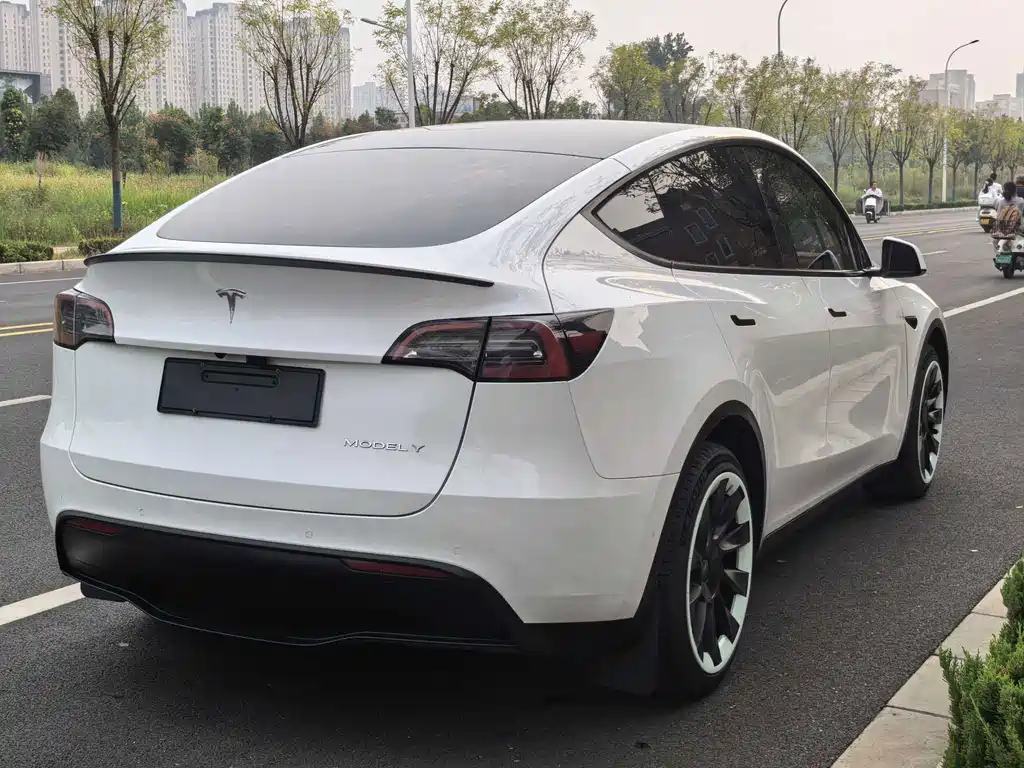 Tesla Model Y — фото 15