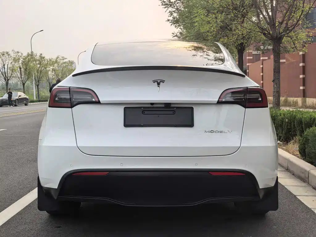 Tesla Model Y — фото 16