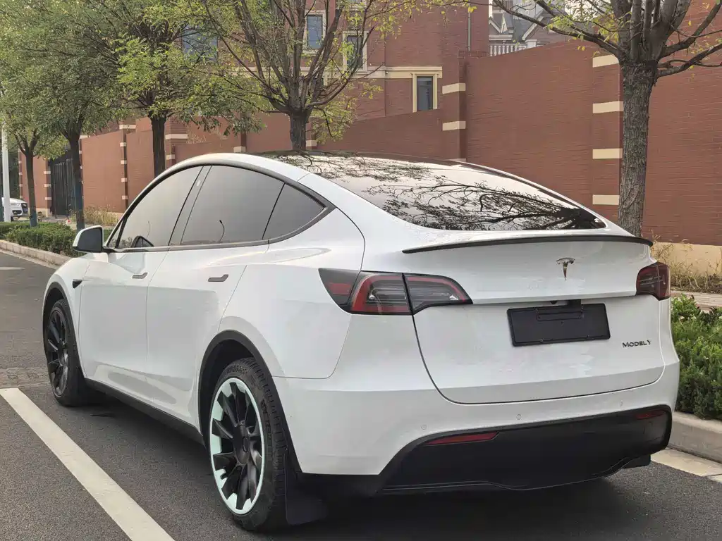 Tesla Model Y — фото 17