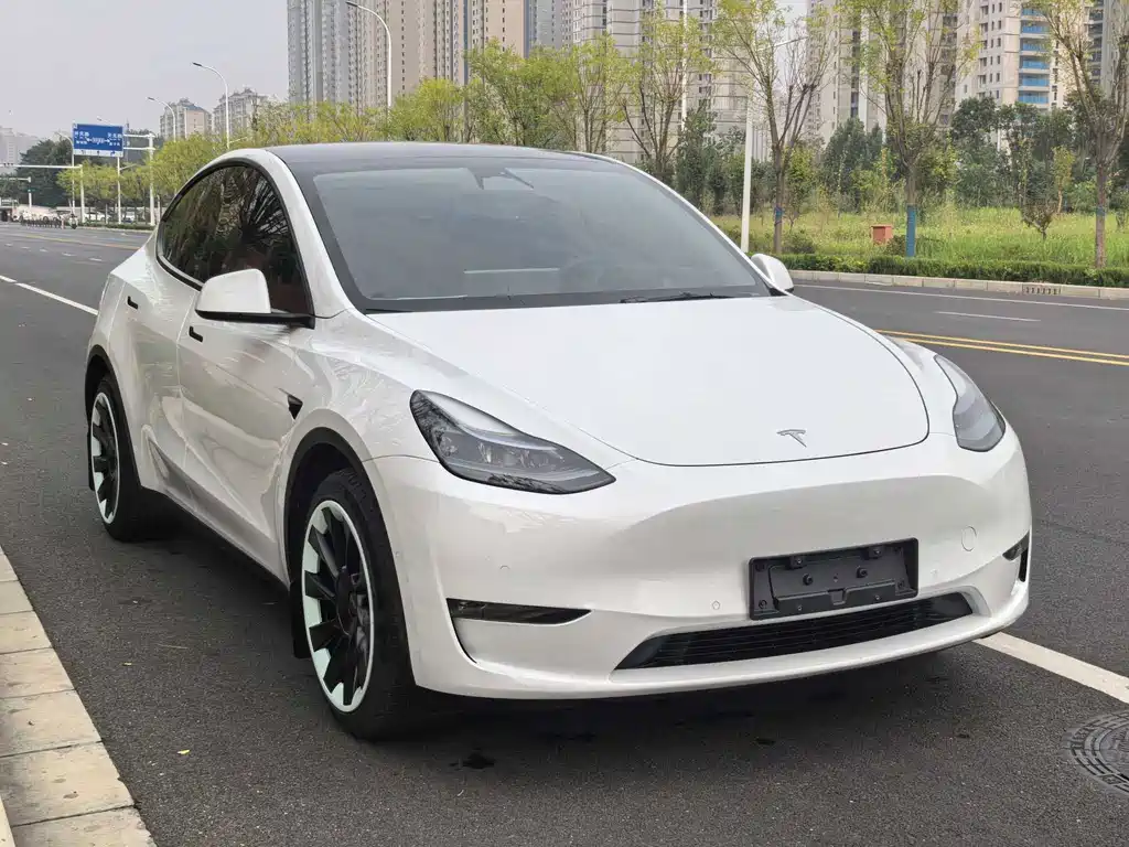Tesla Model Y — фото 3