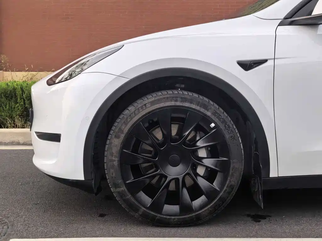 Tesla Model Y — фото 5
