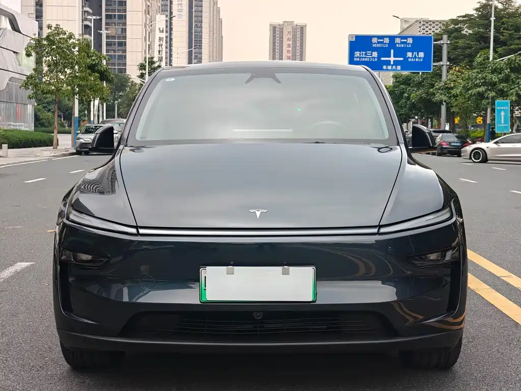 Tesla Model Y — фото 2