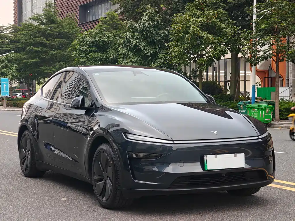 Tesla Model Y — фото 3