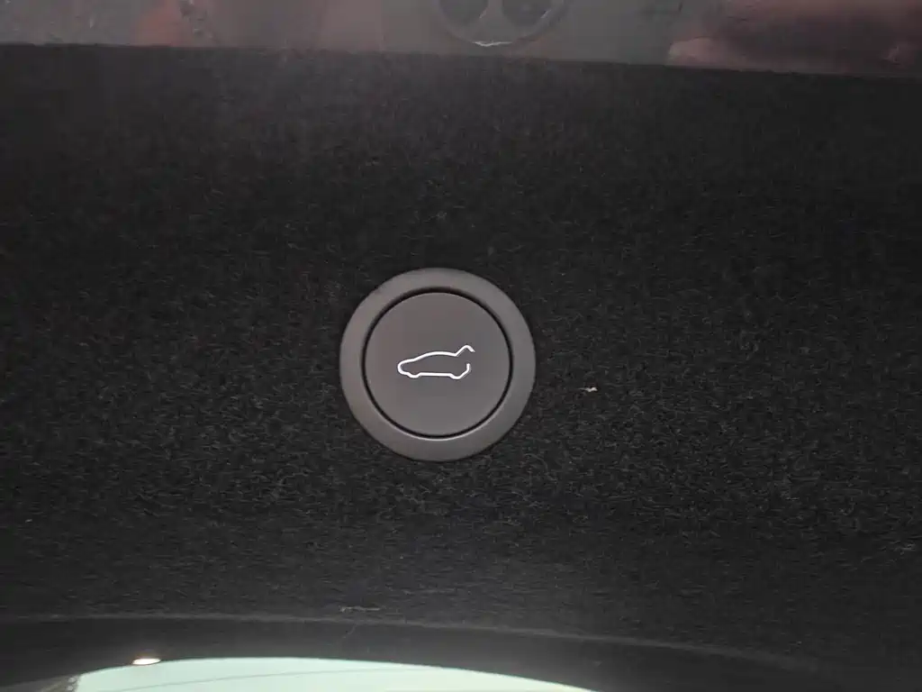 Tesla Model Y — фото 21
