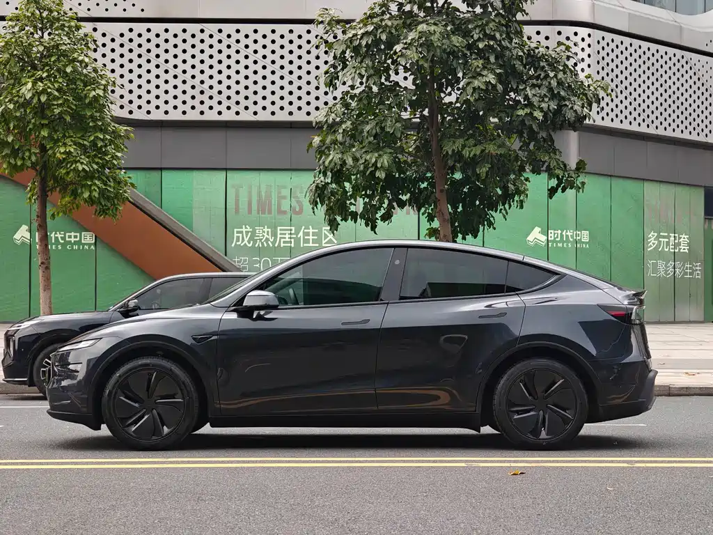 Tesla Model Y — фото 4