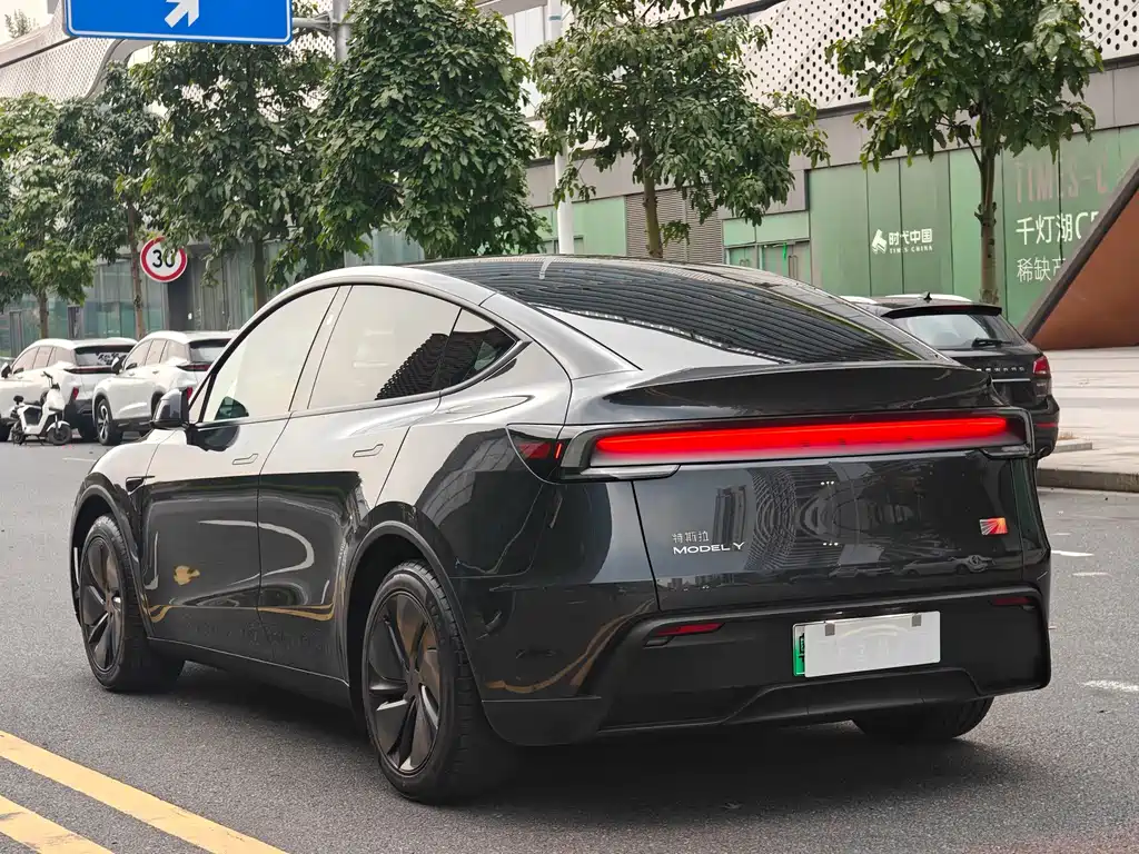Tesla Model Y — фото 6
