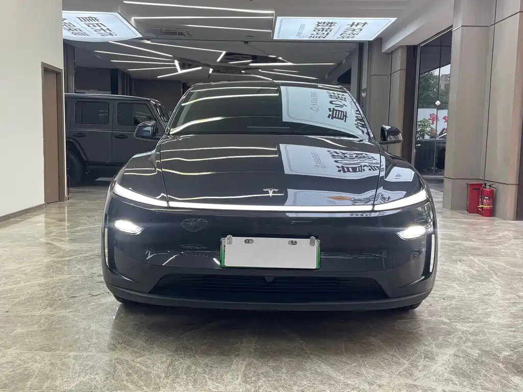 Tesla Model Y — фото 2
