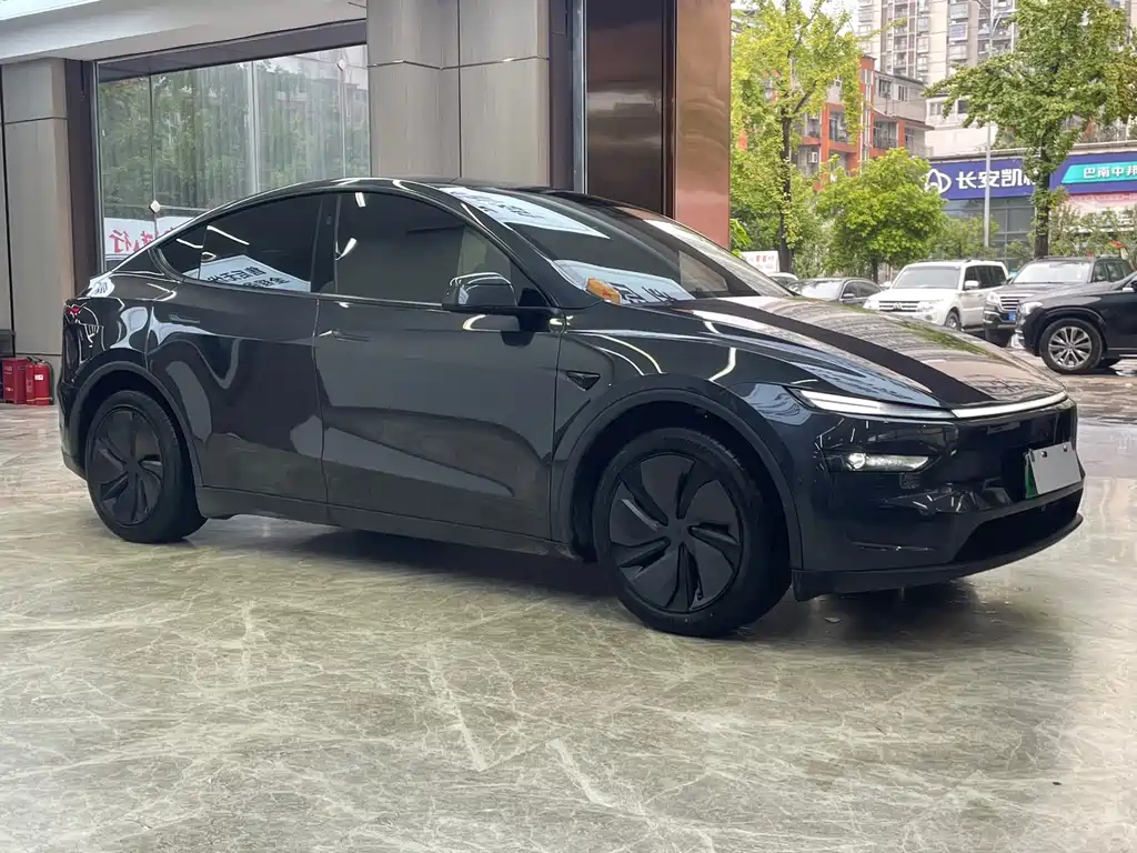 Tesla Model Y — фото 3