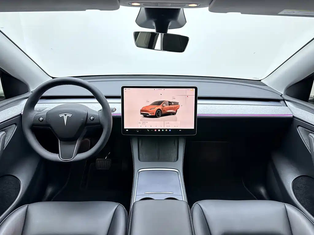 Tesla Model Y — фото 14