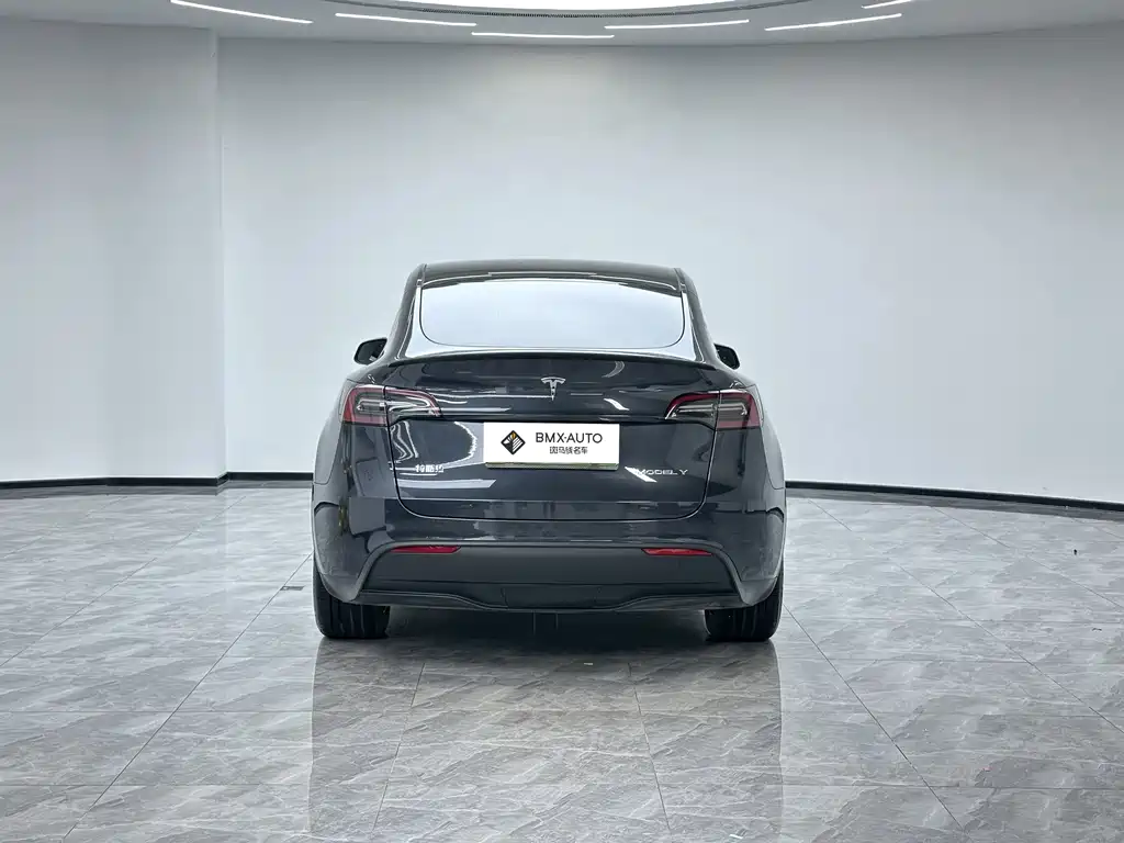 Tesla Model Y — фото 3