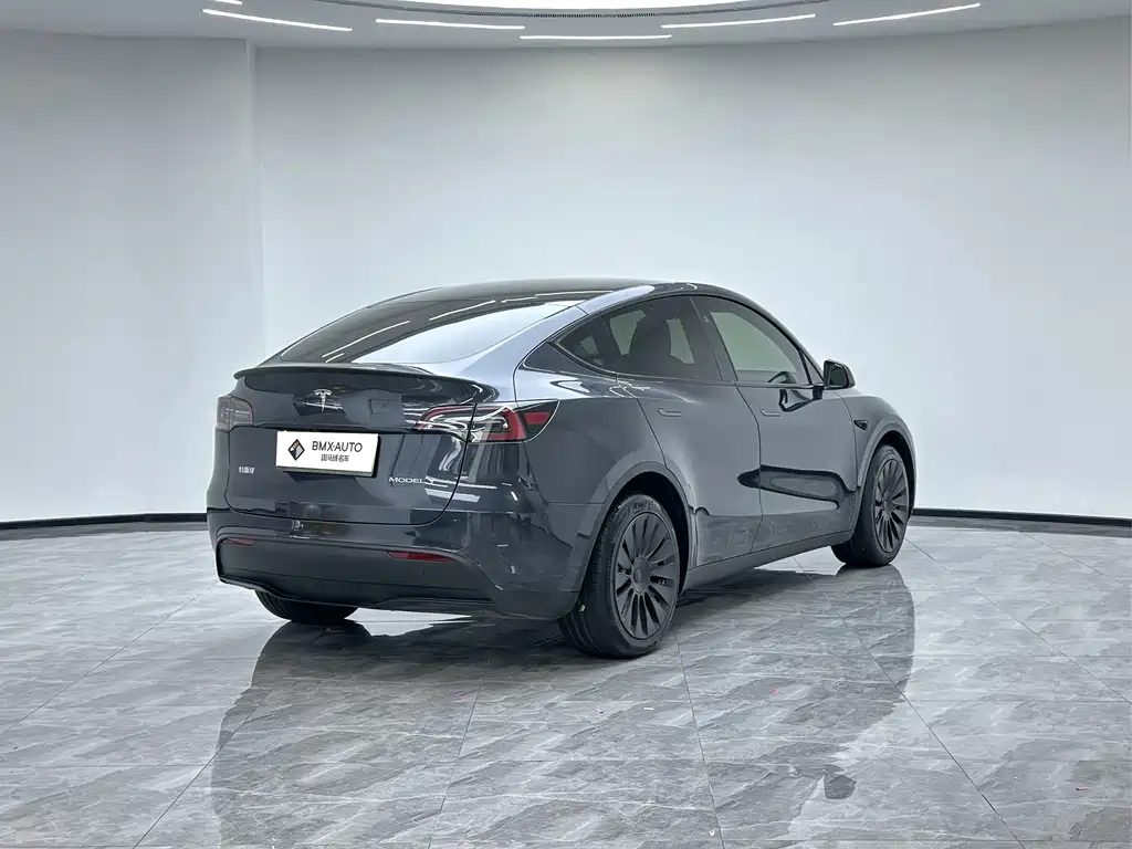Tesla Model Y — фото 5