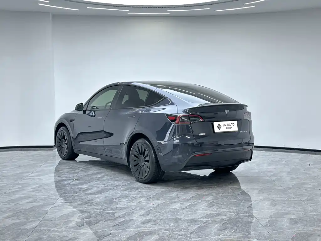 Tesla Model Y — фото 6