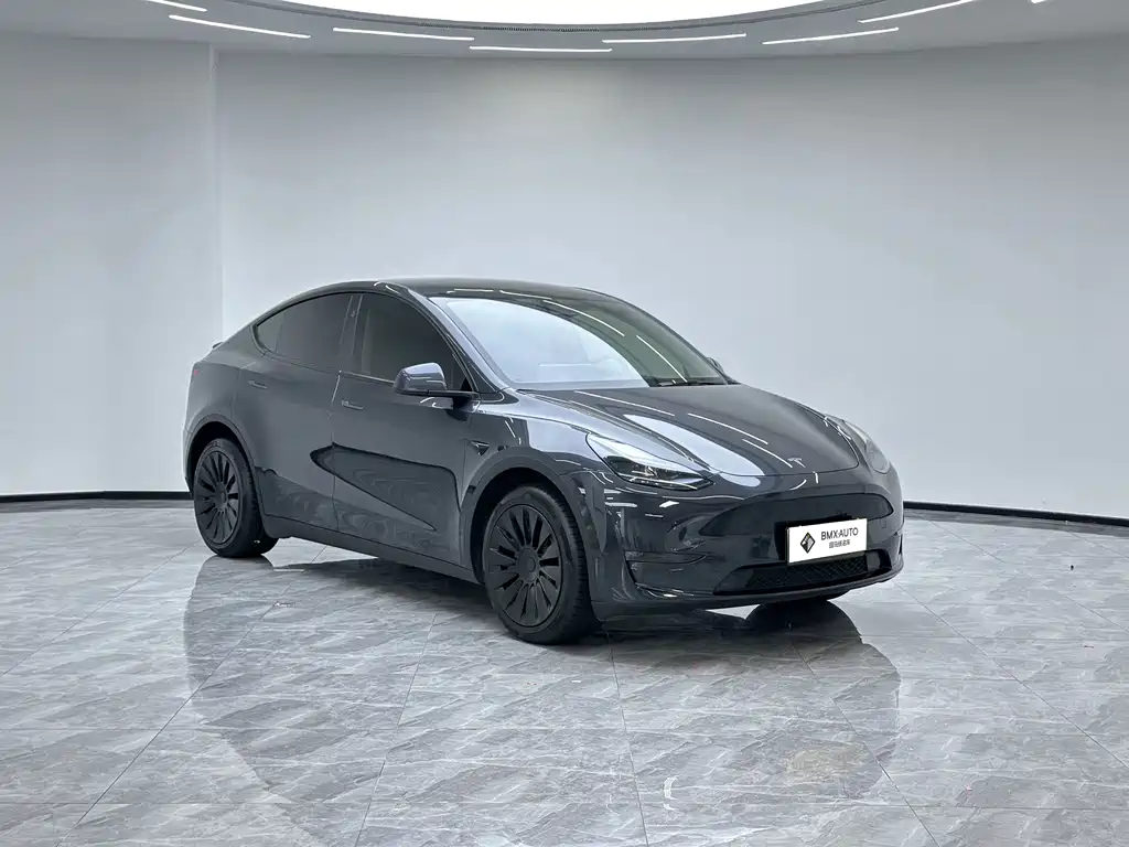 Tesla Model Y — фото 7