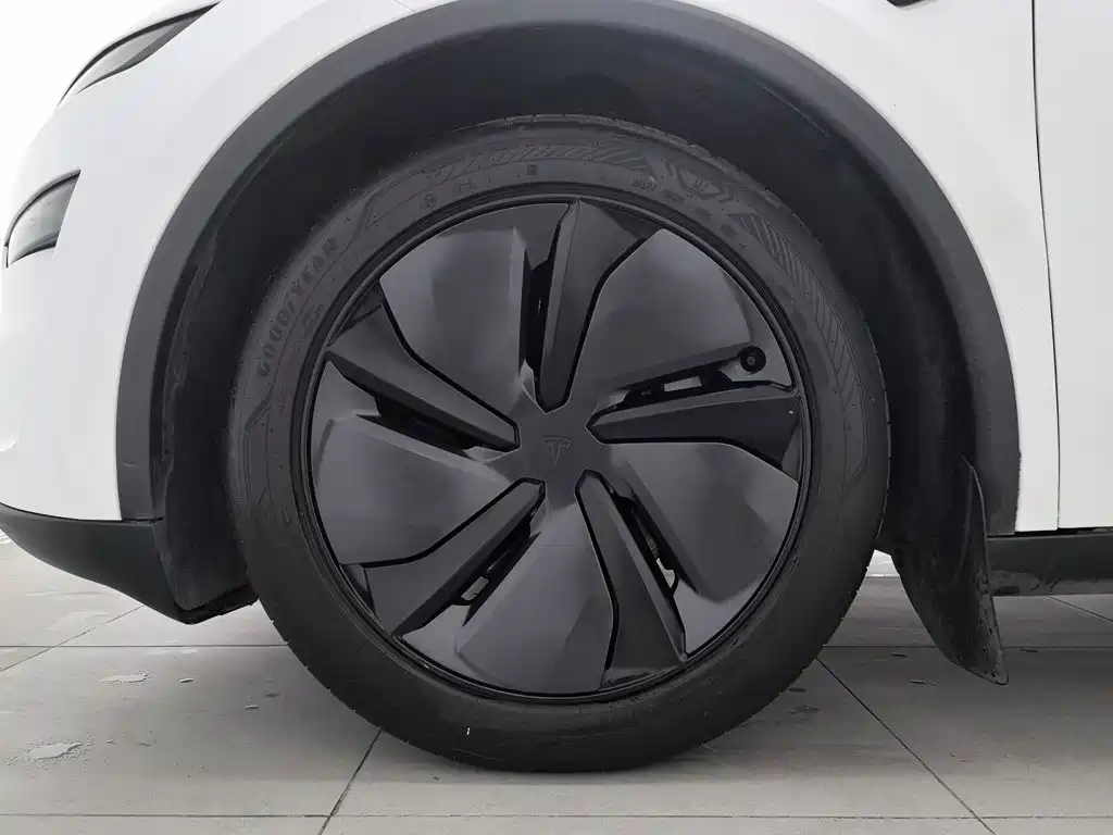 Tesla Model Y — фото 17