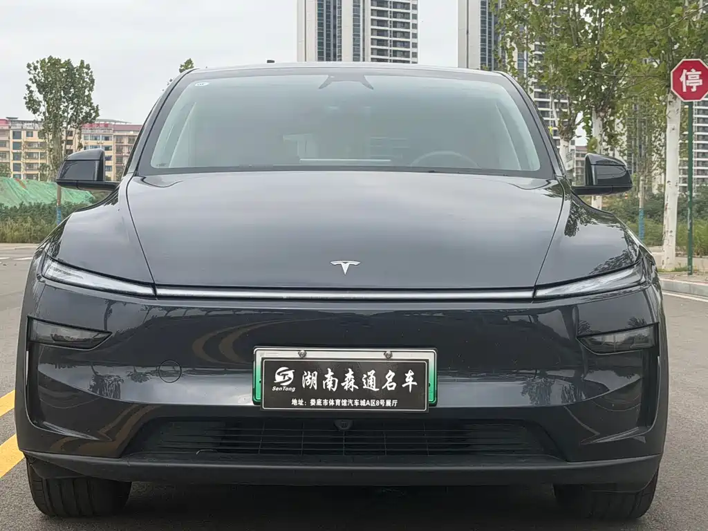 Tesla Model Y — фото 2