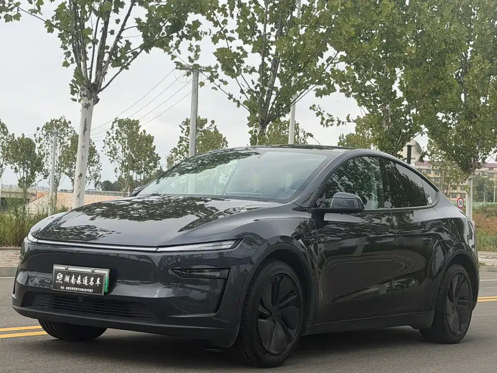 Tesla Model Y — фото 17