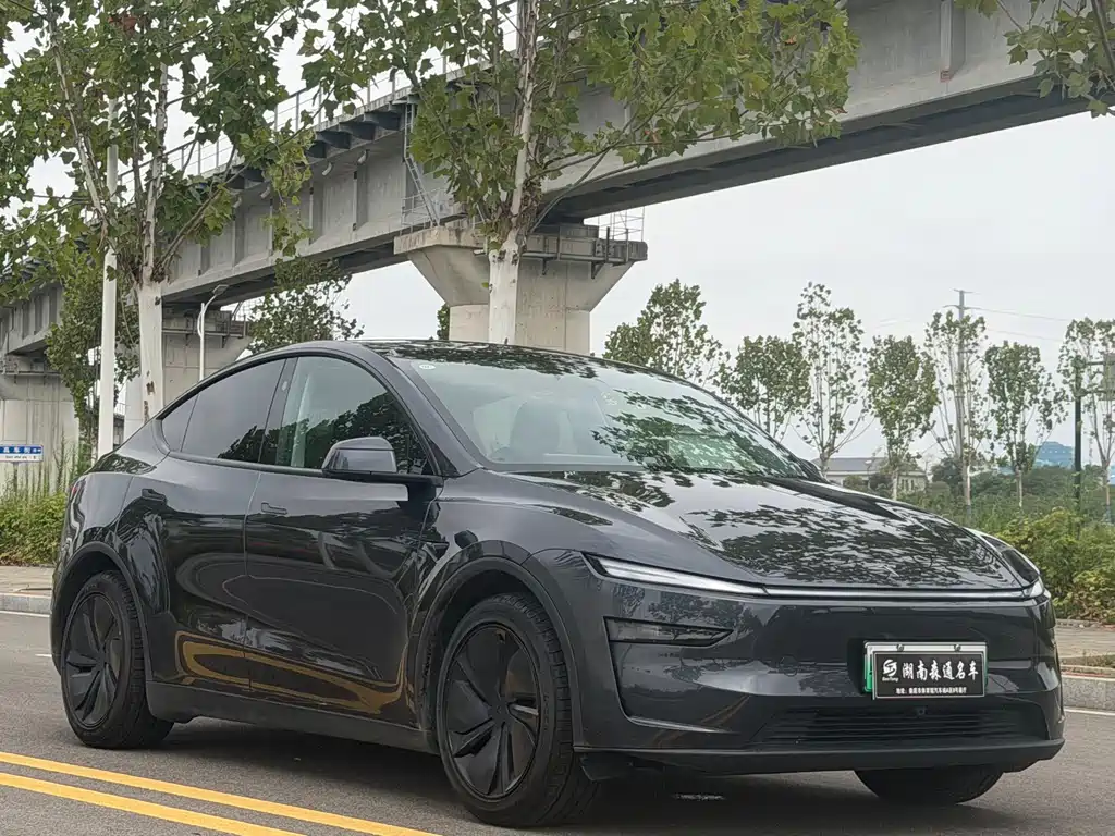 Tesla Model Y — фото 19