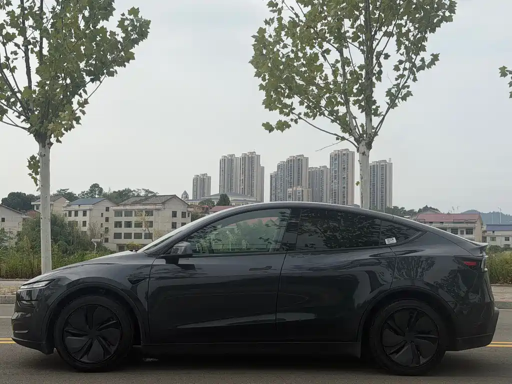 Tesla Model Y — фото 20