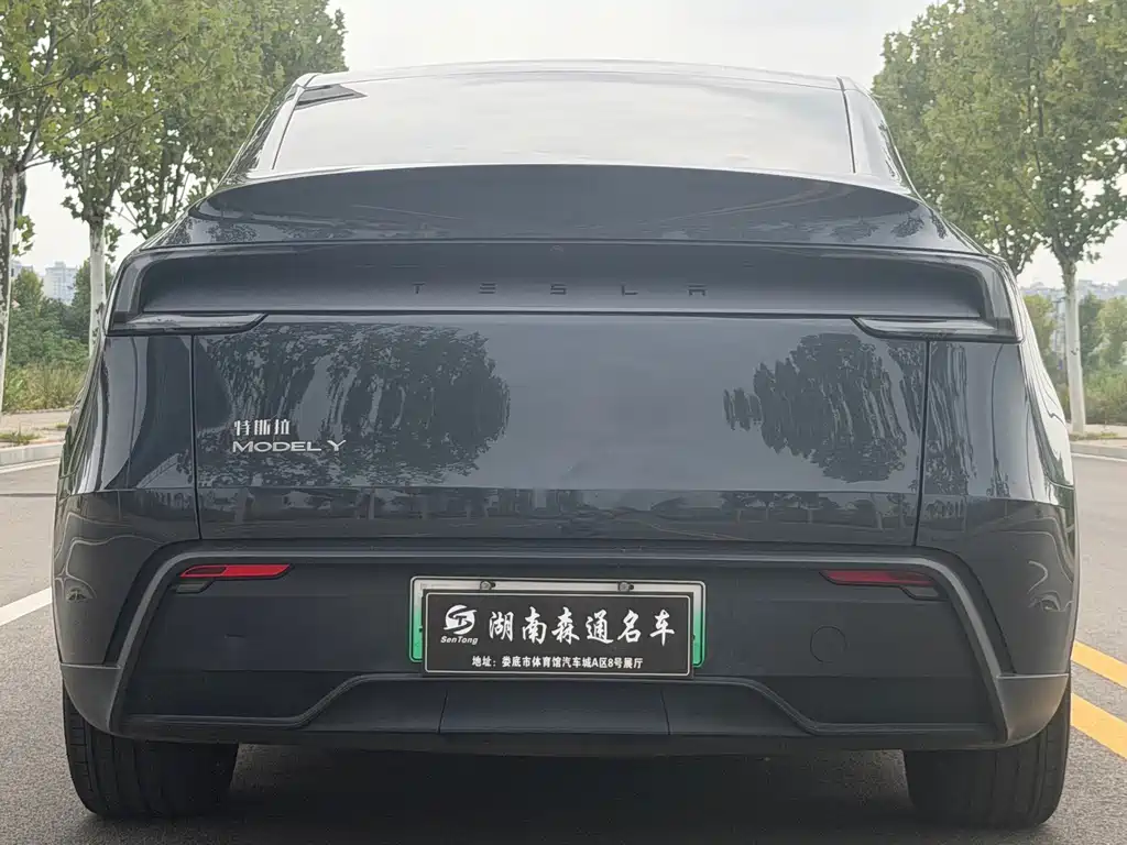Tesla Model Y — фото 22
