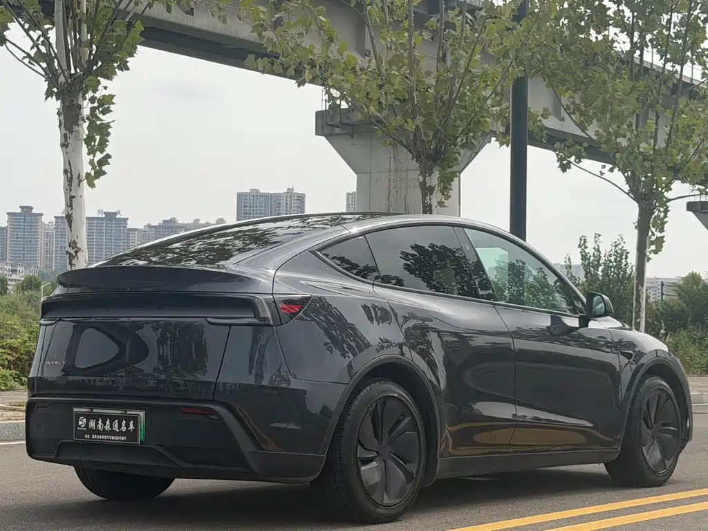 Tesla Model Y — фото 23